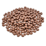 Chocolate Covered Coffee Beans