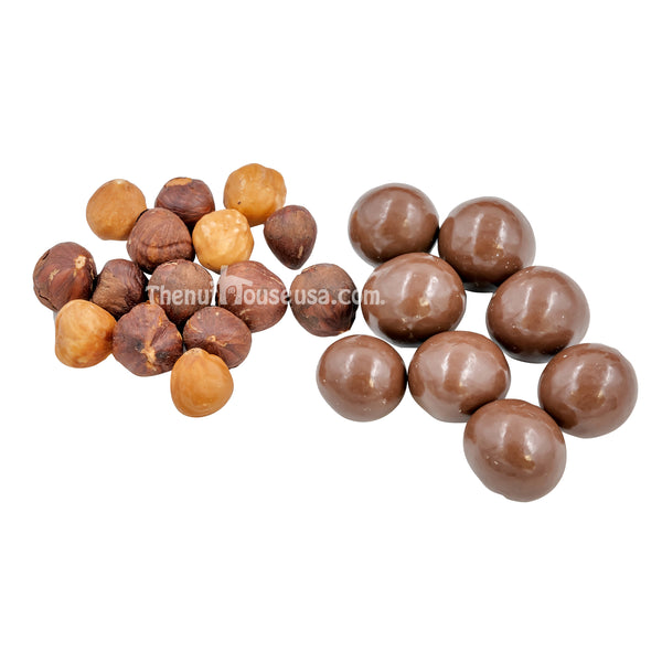 Chocolate Covered Hazelnut