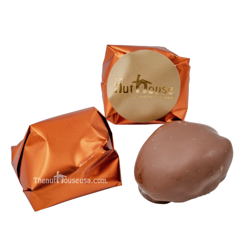 Chocolate Covered Apricot