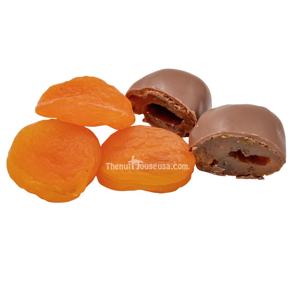 Chocolate Covered Apricot