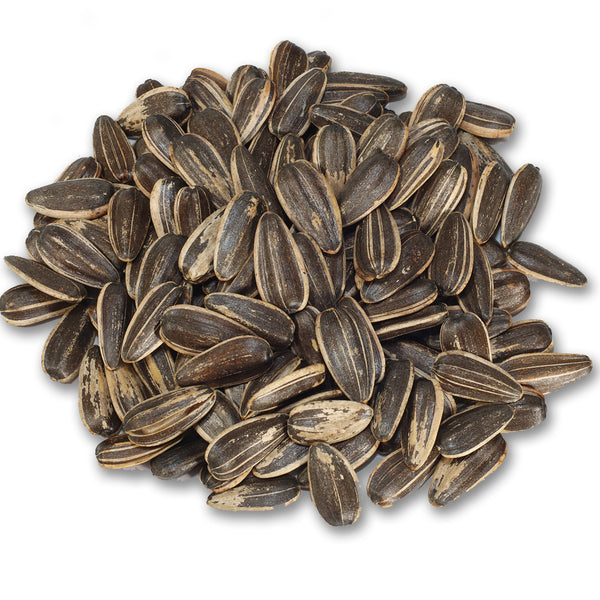 Unsalted Turkish Jumbo Sunflower Seeds